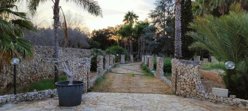 Fondo S,crispiano