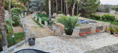 Fondo S,crispiano