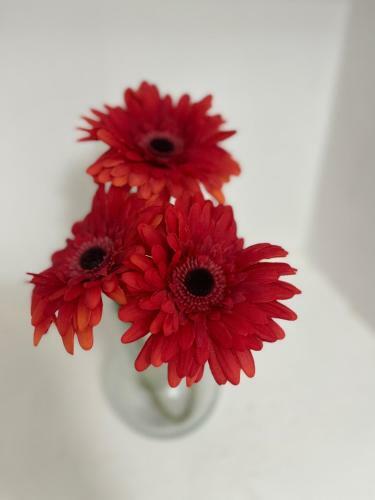 Apartamento Lamaisondemaria