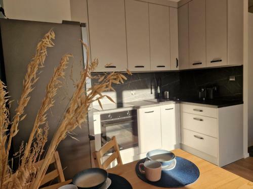 Apartament I?awianka