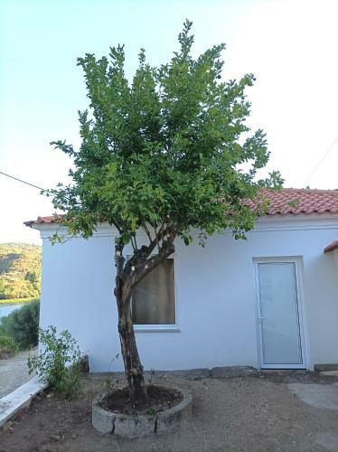 Casa Da Raposa