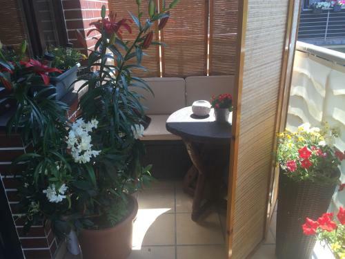 Apartament W Ogrodach Paulinum
