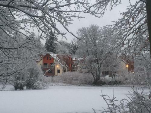 Apartament W Ogrodach Paulinum