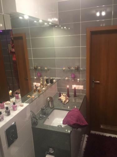Apartament W Ogrodach Paulinum