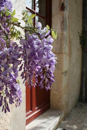 Bed & Breakfast Chateau De Castelneau