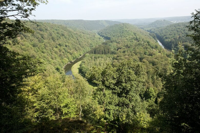Le Manoir De La Rulette