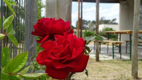 Lodge Caba�as Piri�polis