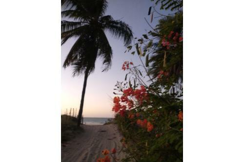 Casa Mandacaru, A 200m Da Praia, Icara�zinho