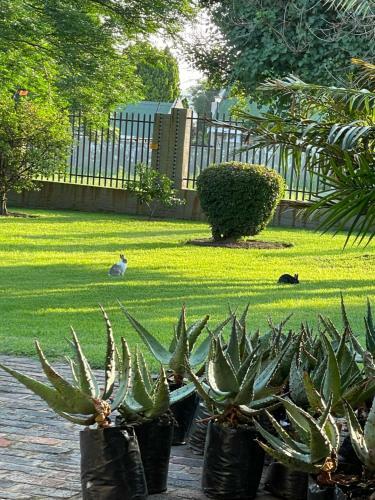 Lodge 150 Jacaranda Guesthouse