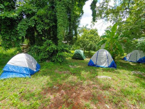 Albergue Cosmic Garden