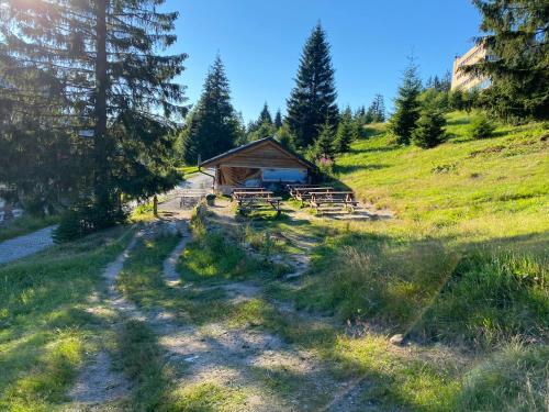 Apartm�n Meluz�na