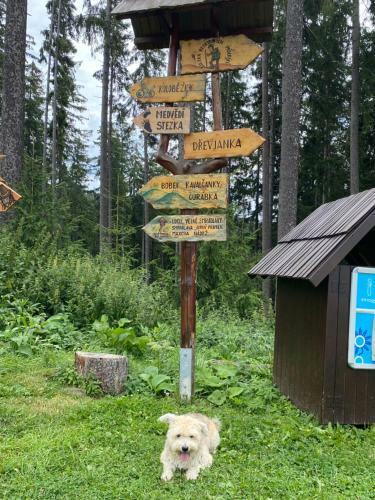 Apartm�n Meluz�na