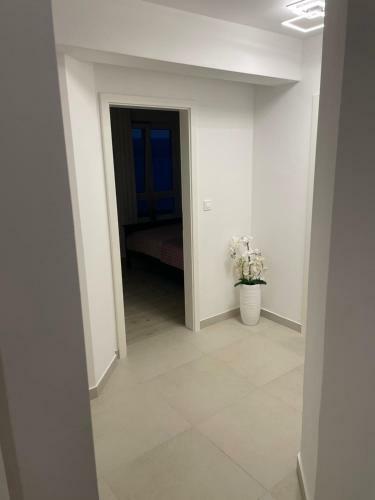 Amore Apartmani 2.1