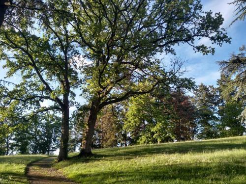 Bed & Breakfast Il �tait Une Fois Dans La Maison S�vign�