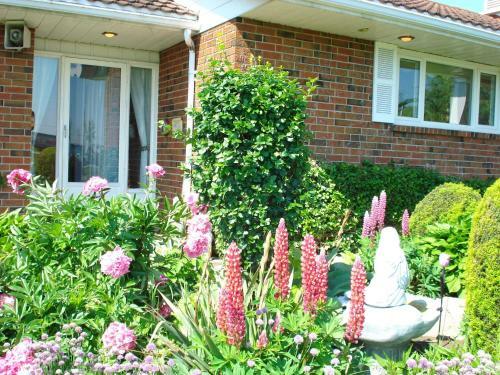 Stratford Serenity Bed & Breakfast