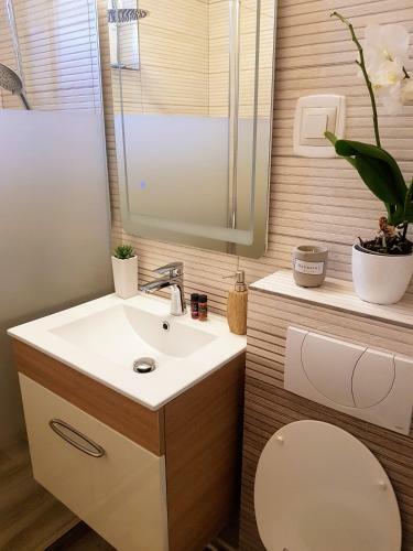 Alexa Apartament