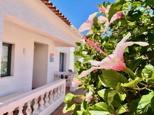 Hostal Charm Of The Algarve