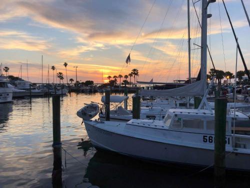 Tropical Escape Close To Top Fl Beaches!