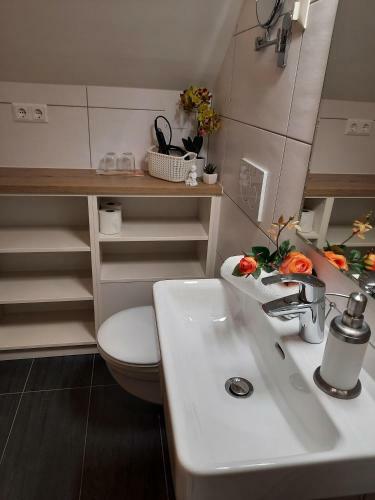 Hostal Haus Franz