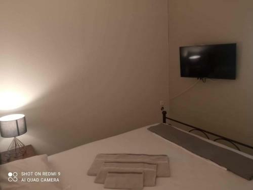 Vasilis Travlos Apartment