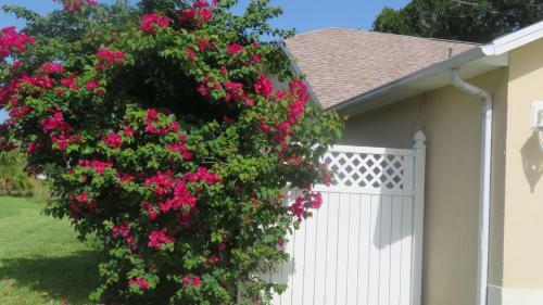 Luxury 3-bedroom Home Near Beaches With Pool