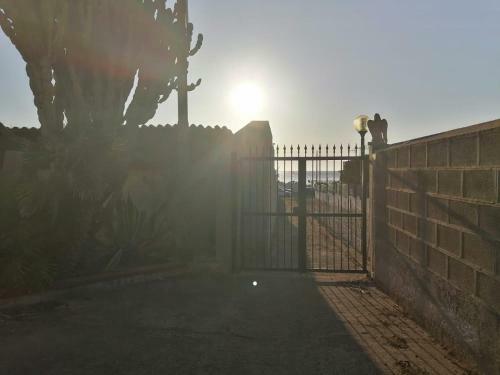 Il Cactus