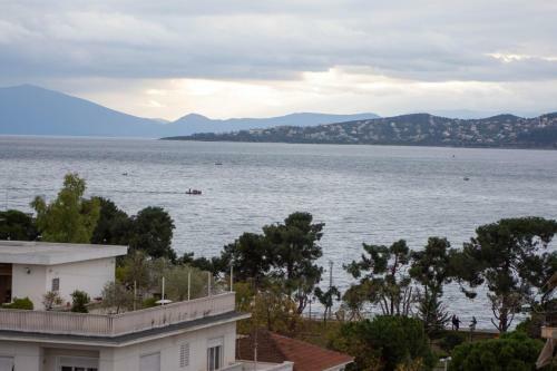 Sea View Luxury Apartment