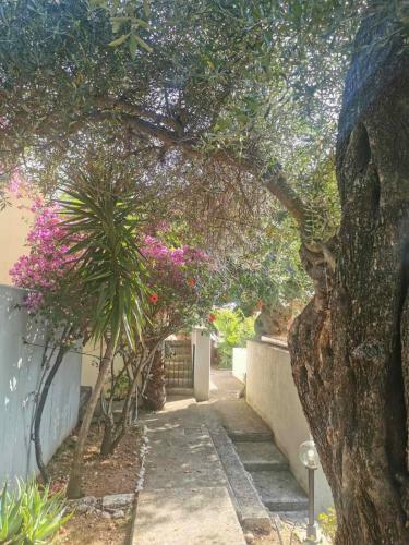 Barbati Villa Vista Mare