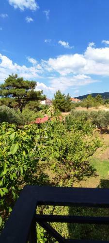 Hostal Little Hause