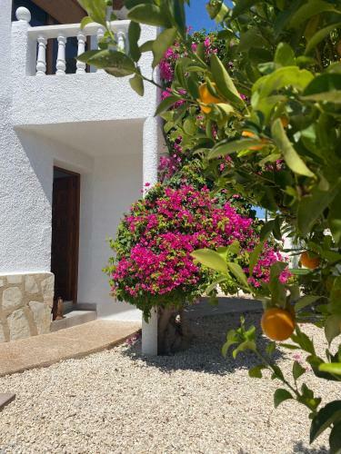 Gorgeous Newly Renovated Villa In Calpe