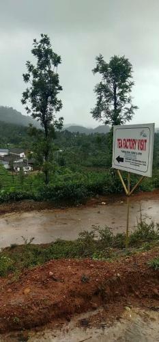 Thalamala Vythiri