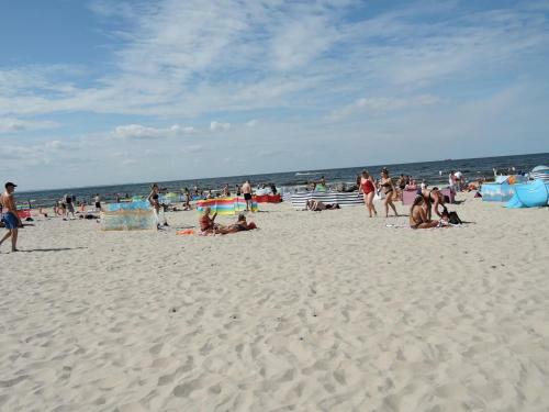 Apartamento Appartment In Wiselka For 5 People With Swimming Pool And Sauna