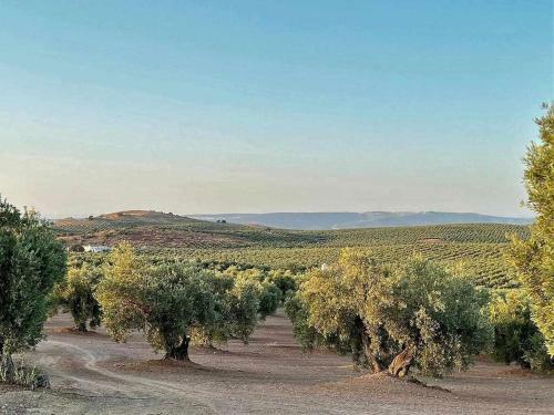 Villas Rurales Arroyovil 28 Ideal Familias