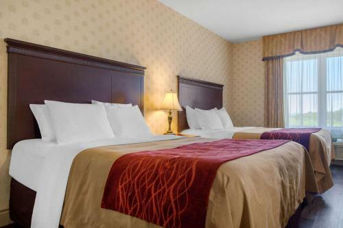Hotel Comfort Inn & Suites Saint-nicolas