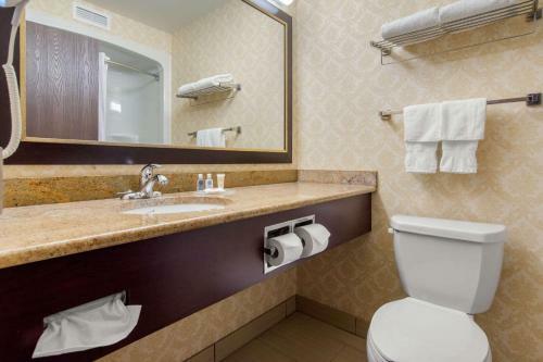 Hotel Comfort Inn & Suites Saint-nicolas