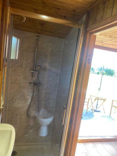 Vale View Glamping