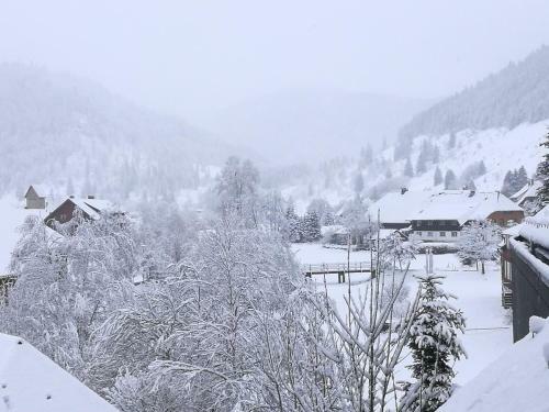 Apartamento B5 Schwarzwald-fewo An Der Alb
