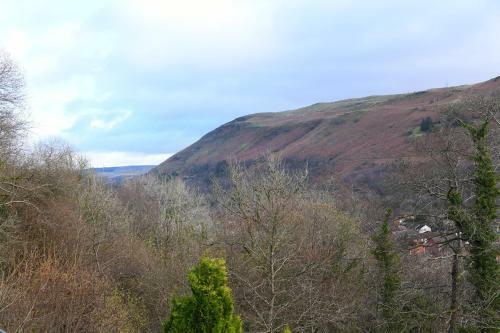 Bed & Breakfast Luxury Suite In Dog-friendly Countryside Location