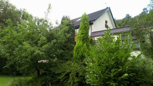 Bed & Breakfast Luxury Suite In Dog-friendly Countryside Location