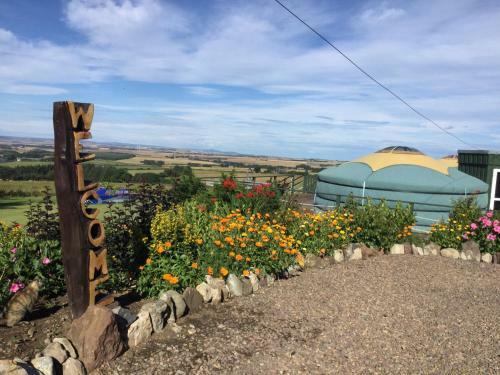 Colourful Mongolian Yurt Enjoy A New Experience