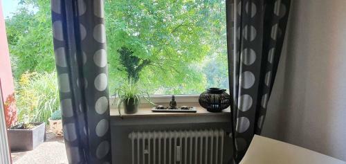 Ferienwohnung Am Homerich