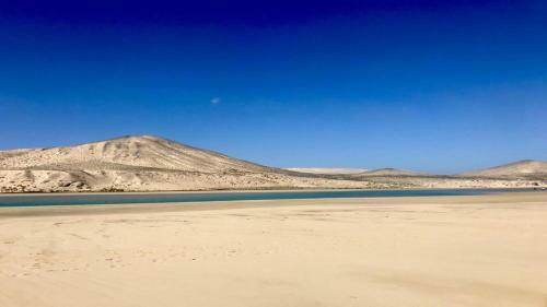 Wave Powered By Solymarcalma