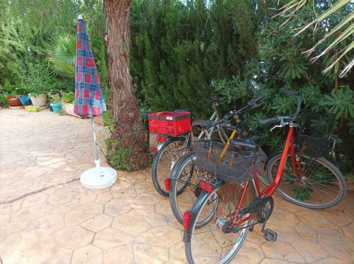 Apartamento Casa Kalani