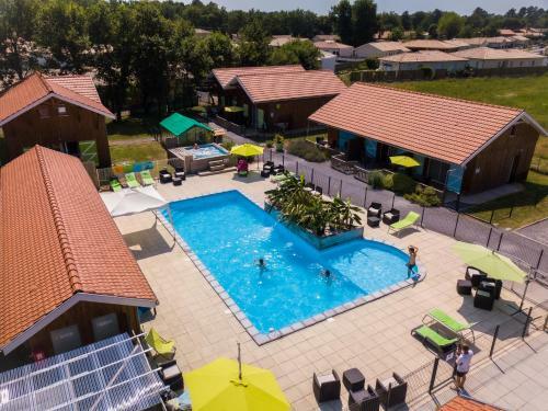 Village Dr�les D'oiseaux