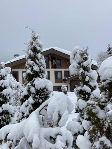 Apartamento Le 1307