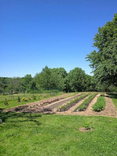 Charmant G�te Haut-marnais
