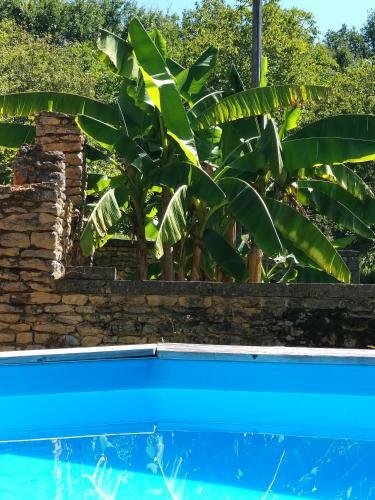 Bed & Breakfast Domaine La Salvagie