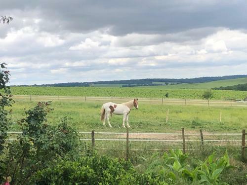 Bed & Breakfast Le Val Du Lys