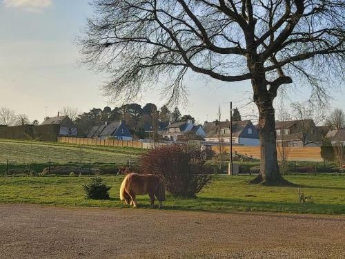 Grande Maison Parc �tang Animaux Ok Centre Village
