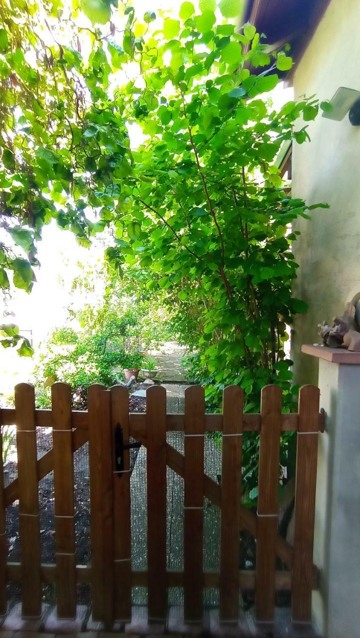 Apartamento Garden Duplex